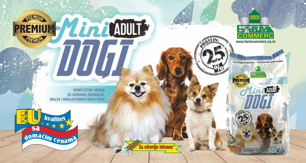 MINI DOGI ADULT PREMIUM