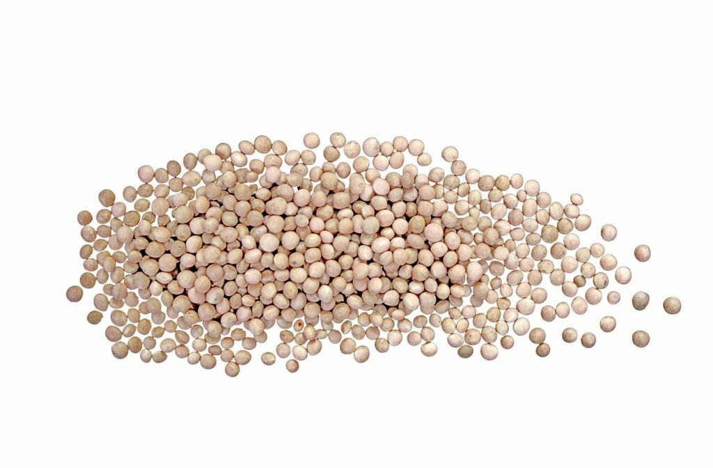 GRAHORICA Bela